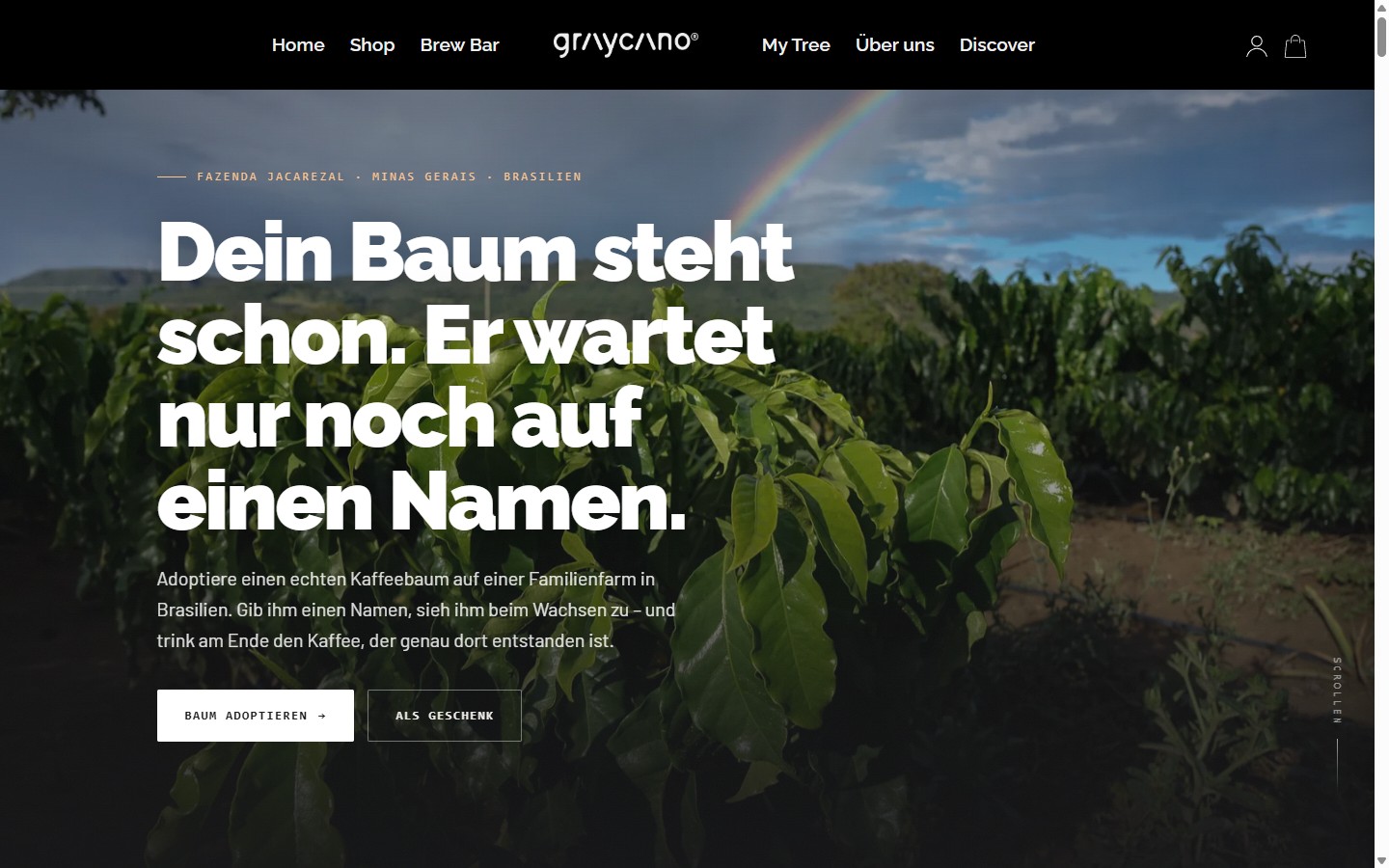 Startbereich der Graycano-Seite My Tree mit der Überschrift Dein Baum steht schon. Er wartet nur noch auf einen Namen.