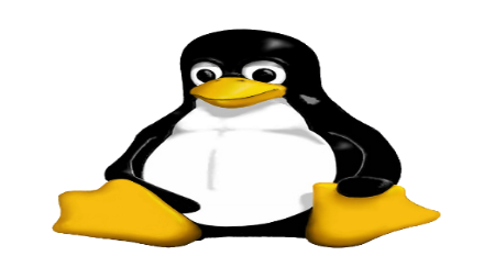 Linux Server für das Hosting von CMS wie WordPress